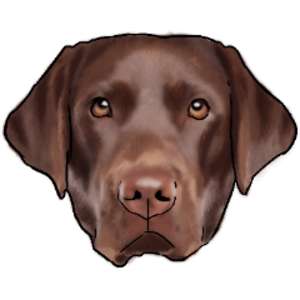 pfp