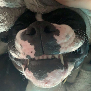 pfp