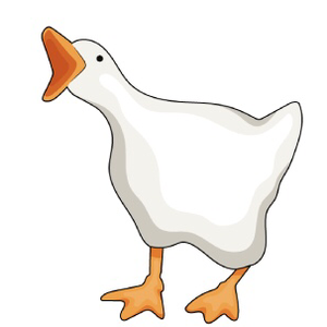 pfp