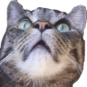 pfp