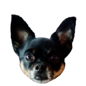 pfp