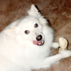 pfp