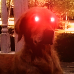 pfp