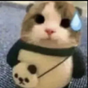 pfp