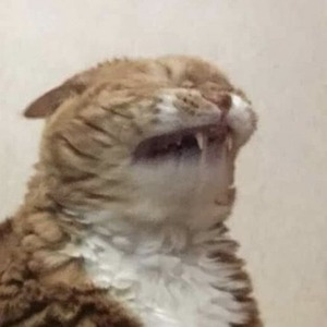 pfp