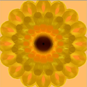 pfp