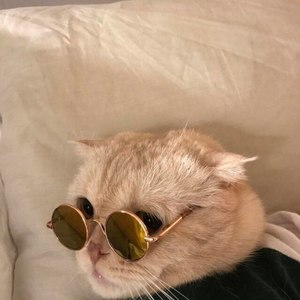 pfp