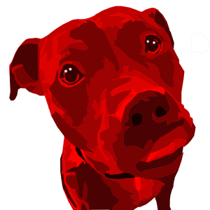 pfp