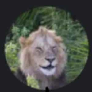 pfp