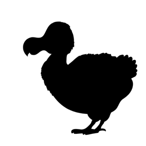 pfp