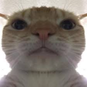 pfp