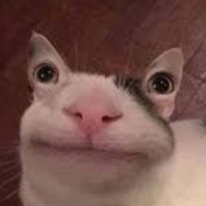 pfp