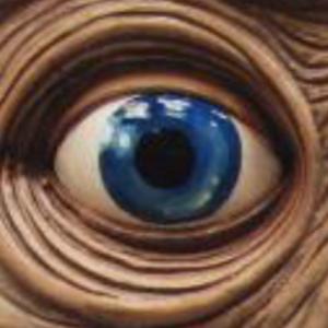 pfp