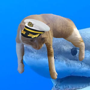 pfp