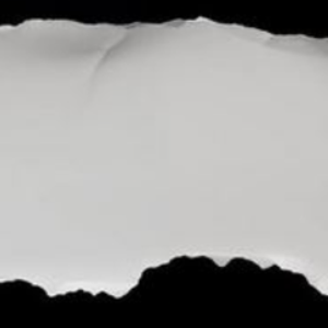 pfp