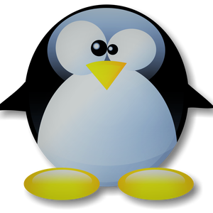 pfp