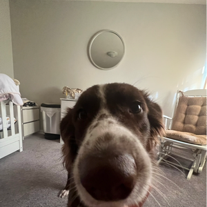 pfp