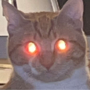 pfp