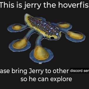 pfp