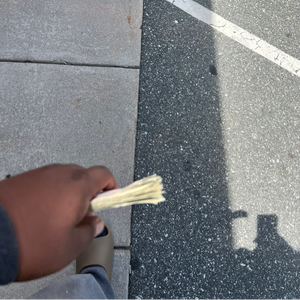 pfp