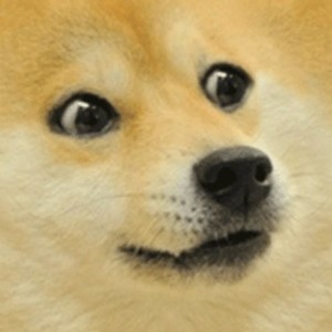 pfp