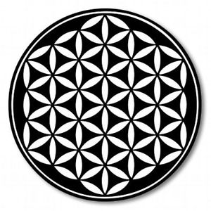 pfp