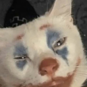 pfp