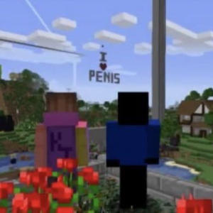 pfp