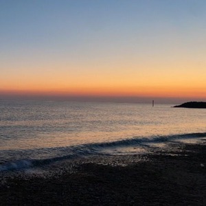 pfp