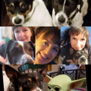 pfp