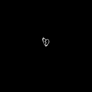 pfp