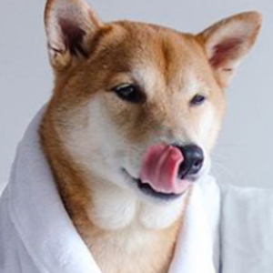 pfp