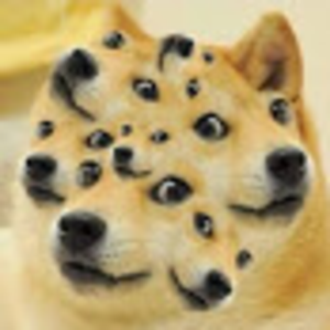 pfp