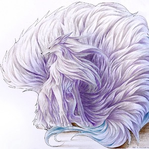 pfp