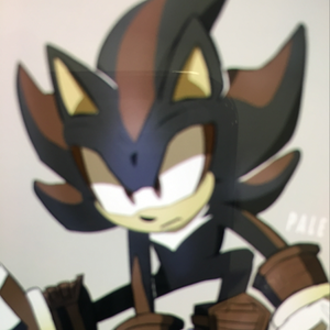 pfp
