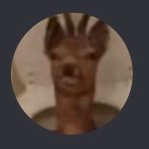 pfp