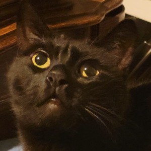 pfp