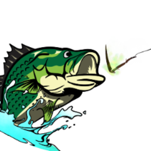 pfp