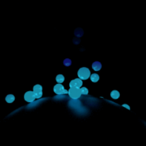 pfp
