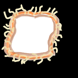pfp