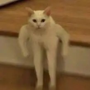 pfp
