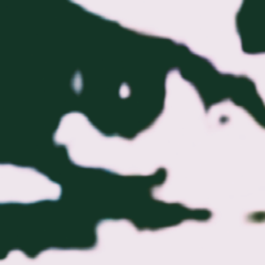 pfp