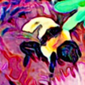 pfp