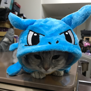 pfp