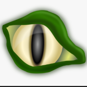 pfp