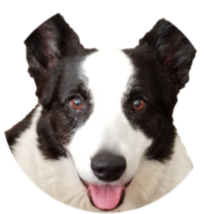 pfp