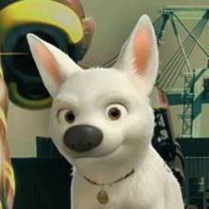 pfp