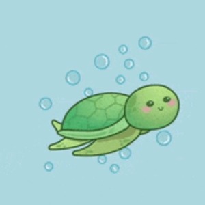 pfp