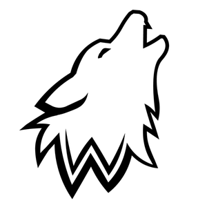 pfp