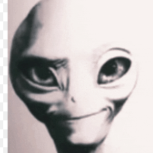 pfp